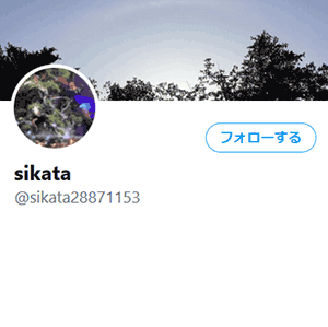 @sikata28871153
